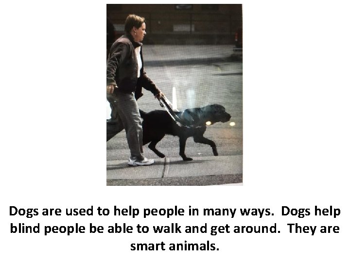 Dogs are used to help people in many ways. Dogs help blind people be