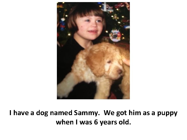 I have a dog named Sammy. We got him as a puppy when I