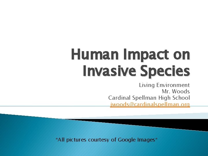 Human Impact on Invasive Species Living Environment Mr