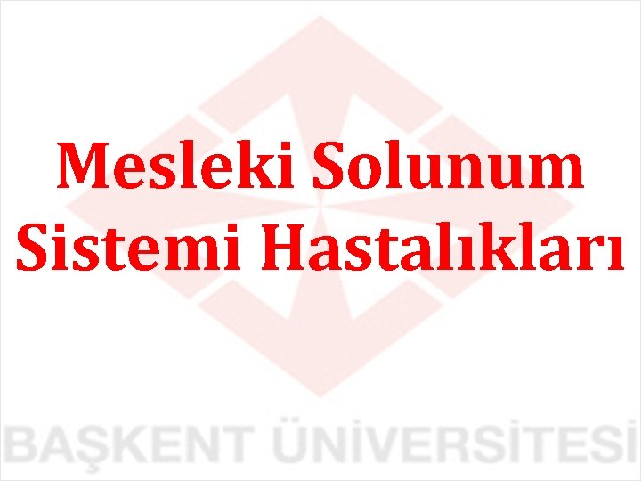 Mesleki Solunum Sistemi Hastalıkları 