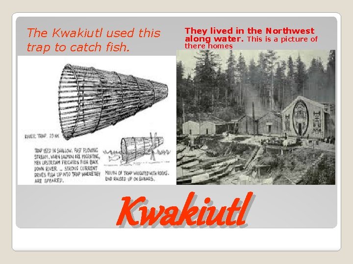 The Kwakiutl used this trap to catch fish. They lived in the Northwest along