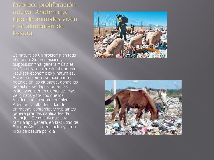 favorece proliferación nociva. Anoten que tipo de animales viven y se alimentan de basura favorece proliferación nociva. Anoten que tipo de animales viven y se alimentan de basura