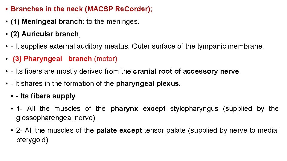  • Branches in the neck (MACSP Re. Corder); • (1) Meningeal branch: to