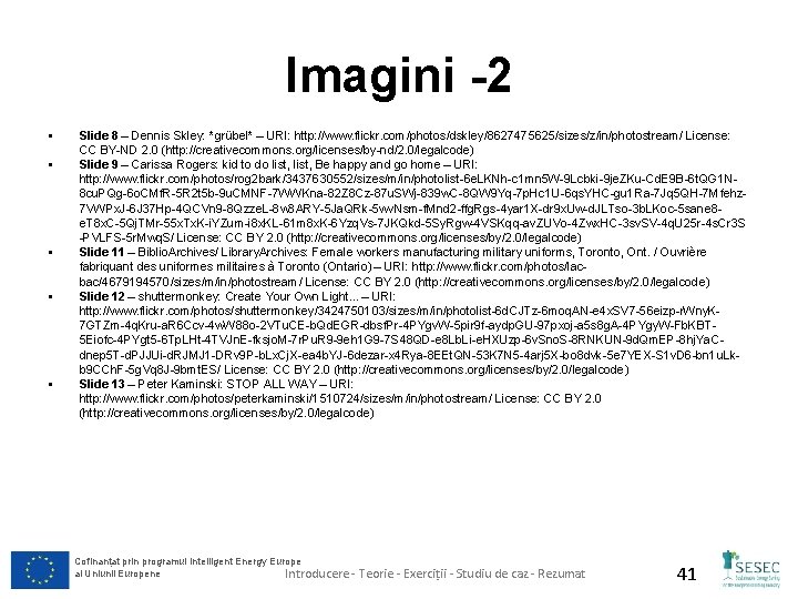 Imagini -2 § § § Slide 8 – Dennis Skley: *grübel* – URI: http: