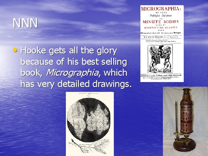 NNN • Hooke gets all the glory because of his best selling book, Micrographia,