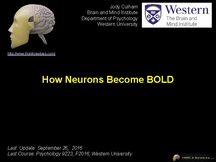Jody Culham Brain and Mind Institute Department of Psychology Western University http: //www. fmri