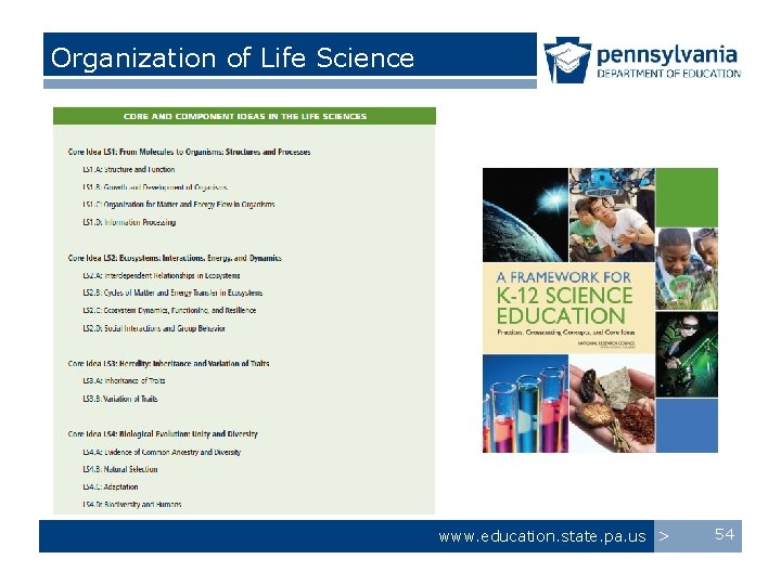 Organization of Life Science www. education. state. pa. us > 54 