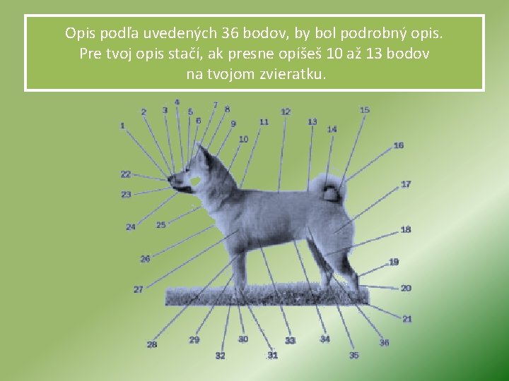 Opis podľa uvedených 36 bodov, by bol podrobný opis. Pre tvoj opis stačí, ak