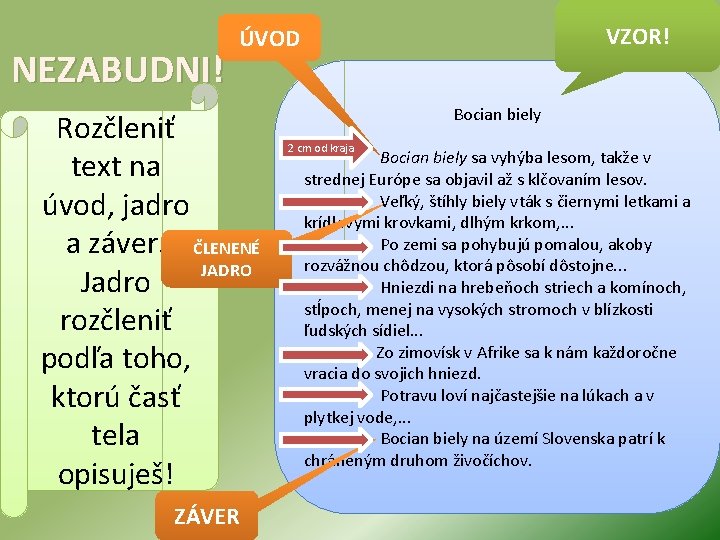 NEZABUDNI! VZOR! ÚVOD Rozčleniť text na úvod, jadro a záver. ČLENENÉ JADRO Jadro rozčleniť