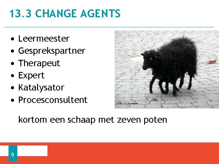 13. 3 CHANGE AGENTS • • • Leermeester Gesprekspartner Therapeut Expert Katalysator Procesconsultent kortom