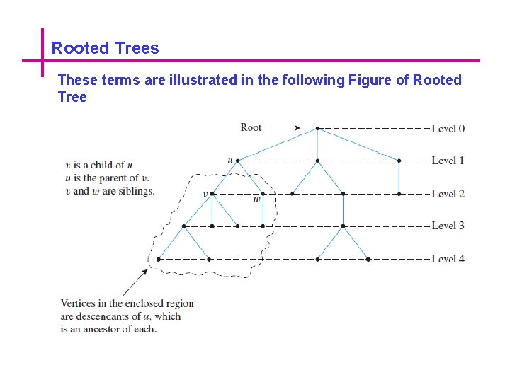 Rooted Trees These terms are illustrated in the following Figure of Rooted Tree 