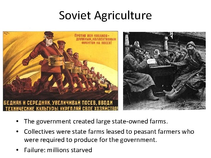 Soviet Agriculture • The government created large state-owned farms. • Collectives were state farms