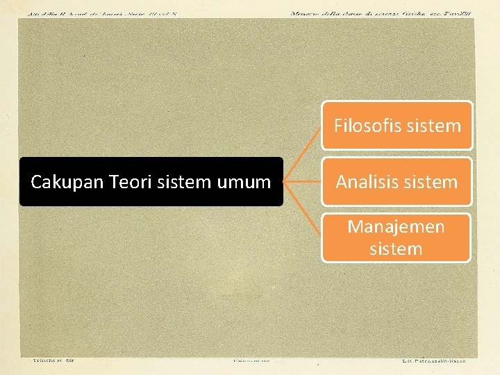 Filosofis sistem Cakupan Teori sistem umum Analisis sistem Manajemen sistem 
