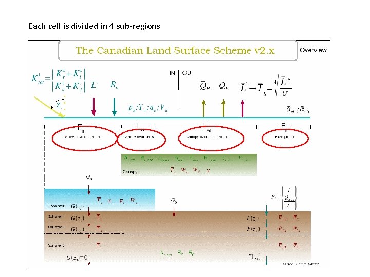 Each cell is divided in 4 sub-regions 