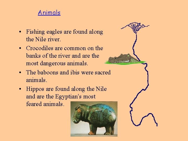 Animals • Fishing eagles are found along the Nile river. • Crocodiles are common