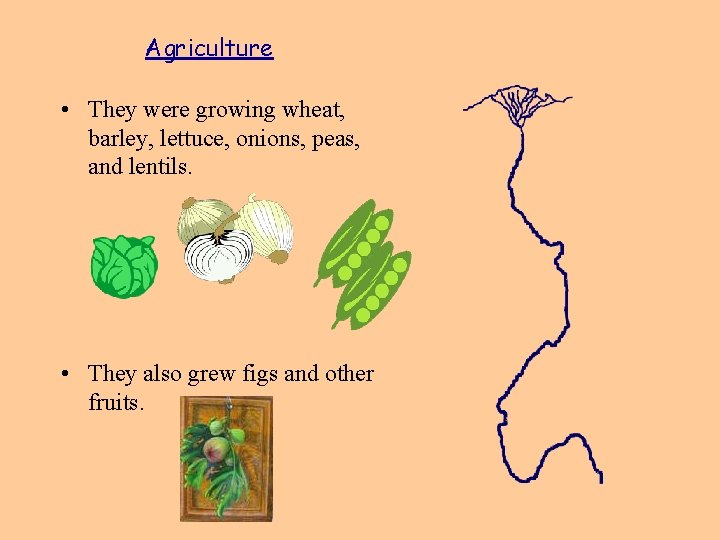 Agriculture • They were growing wheat, barley, lettuce, onions, peas, and lentils. • They