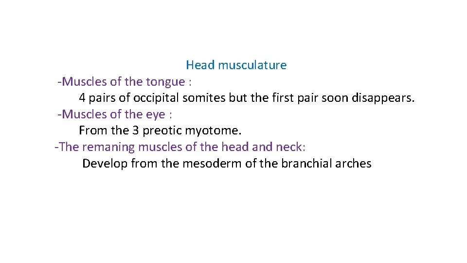 Head musculature -Muscles of the tongue : 4 pairs of occipital somites but the