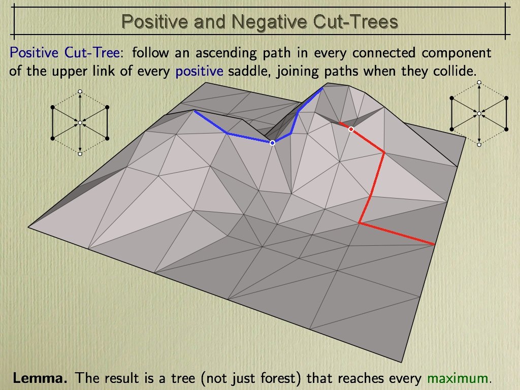 Positive and Negative Cut-Trees 