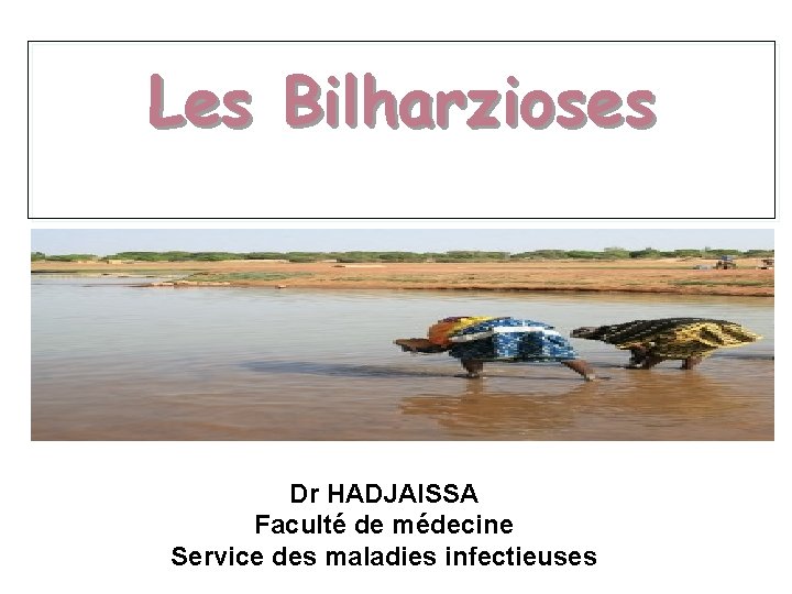 Les Bilharzioses Dr HADJAISSA Faculté de médecine Service des maladies infectieuses 