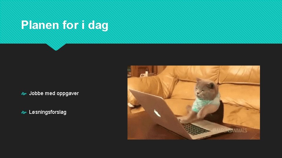 Planen for i dag Jobbe med oppgaver Løsningsforslag 