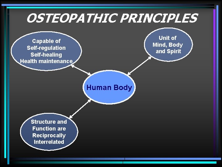 OSTEOPATHIC PRINCIPLES Unit of Mind, Body and Spirit Capable of Self-regulation Self-healing Health maintenance