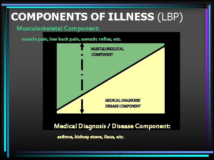 COMPONENTS OF ILLNESS (LBP) Musculoskeletal Component: muscle pain, low back pain, somatic reflex, etc.