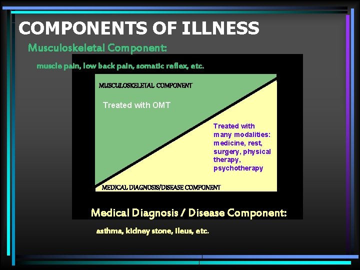 COMPONENTS OF ILLNESS Musculoskeletal Component: muscle pain, low back pain, somatic reflex, etc. MUSCULOSKELETAL