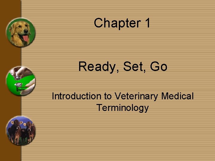 Chapter 1 Ready, Set, Go Introduction to Veterinary Medical Terminology 