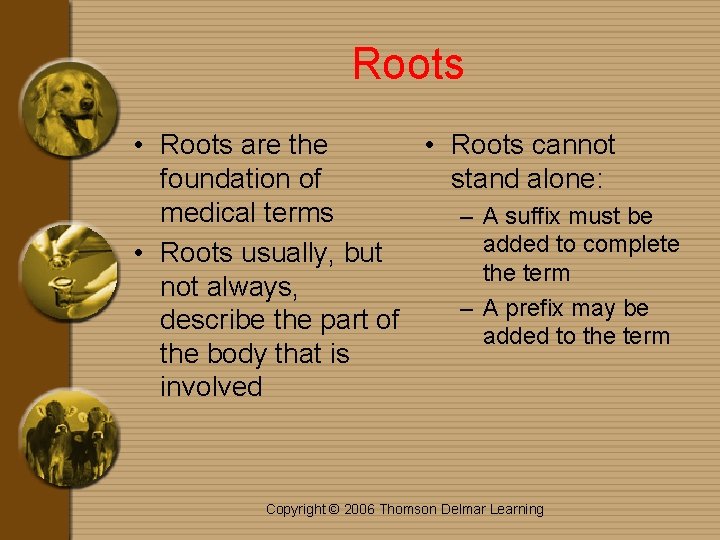Roots • Roots are the • Roots cannot foundation of stand alone: medical terms