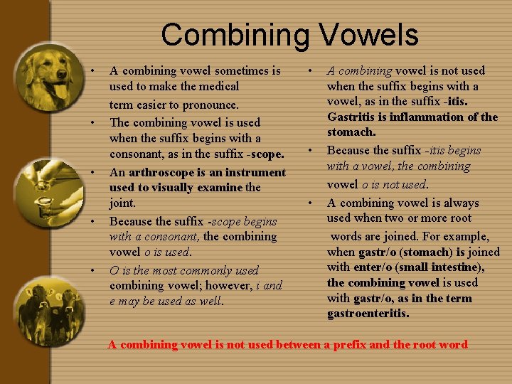 Combining Vowels • • • A combining vowel sometimes is used to make the