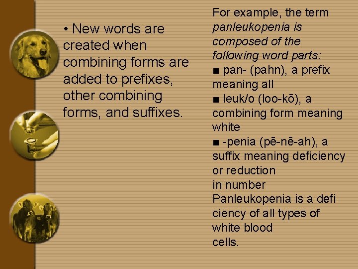  • New words are created when combining forms are added to prefixes, other