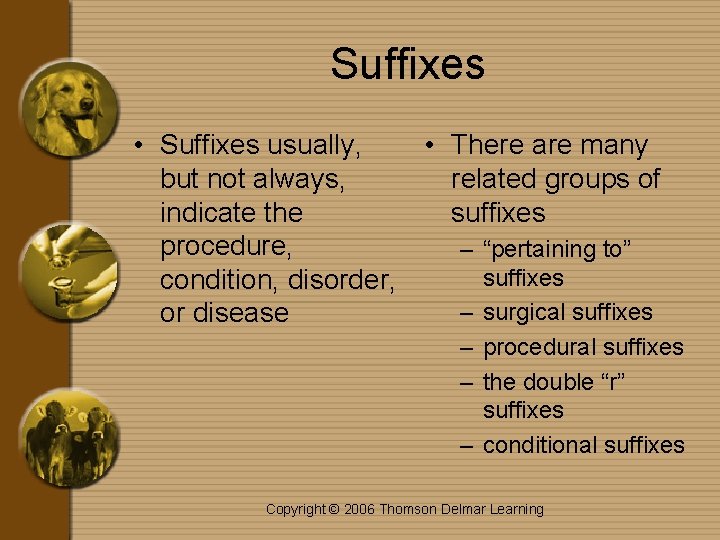 Suffixes • Suffixes usually, • There are many but not always, related groups of