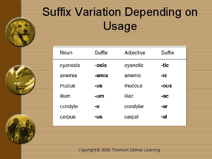 Suffix Variation Depending on Usage Insert Figure 1 -2 Copyright © 2006 Thomson Delmar