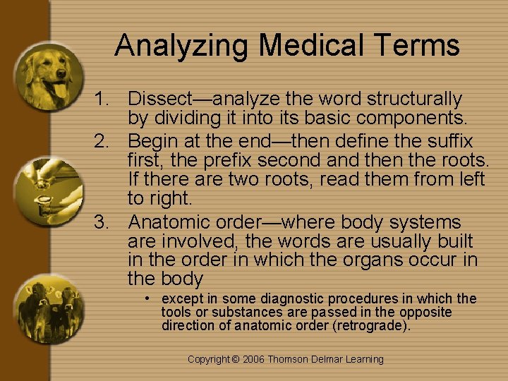 Analyzing Medical Terms 1. Dissect—analyze the word structurally by dividing it into its basic
