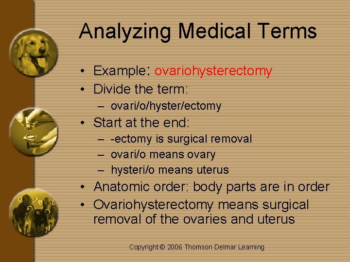 Analyzing Medical Terms • Example: ovariohysterectomy • Divide the term: – ovari/o/hyster/ectomy • Start