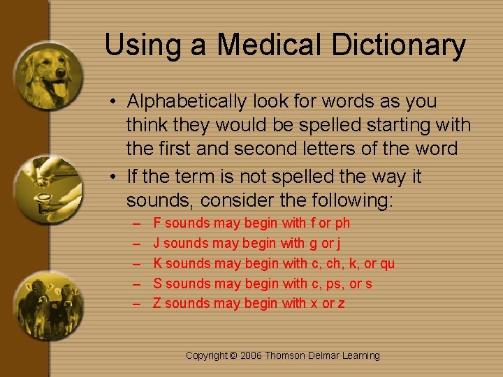 Using a Medical Dictionary • Alphabetically look for words as you think they would