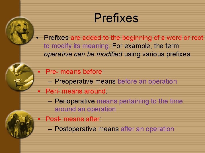 Prefixes • Prefixes are added to the beginning of a word or root to