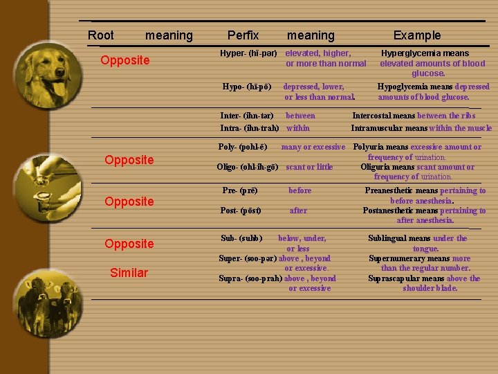 Root meaning Opposite Perfix Hyper- (hī-pər) Hypo- (hī-pō) Opposite Similar meaning Example elevated, higher,
