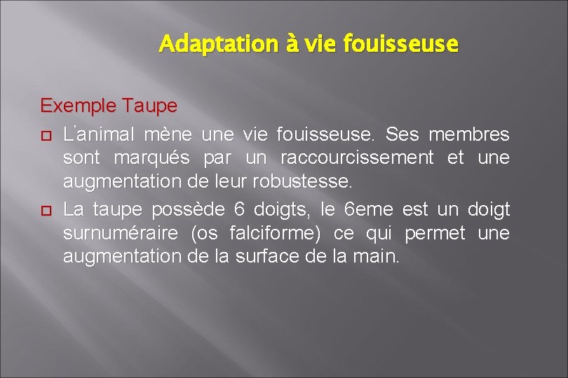 Adaptation à vie fouisseuse Exemple Taupe L’animal mène une vie fouisseuse. Ses membres sont Adaptation à vie fouisseuse Exemple Taupe L’animal mène une vie fouisseuse. Ses membres sont