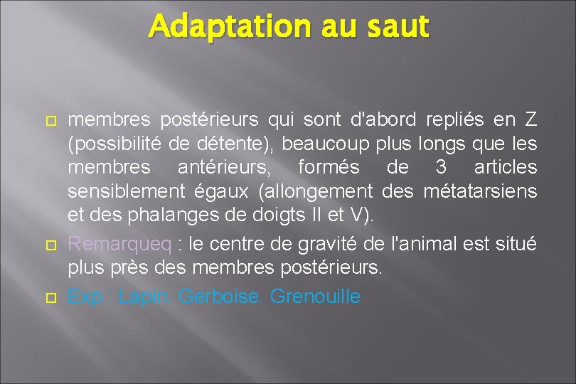 Adaptation au saut membres postérieurs qui sont d'abord repliés en Z (possibilité de détente), Adaptation au saut membres postérieurs qui sont d'abord repliés en Z (possibilité de détente),