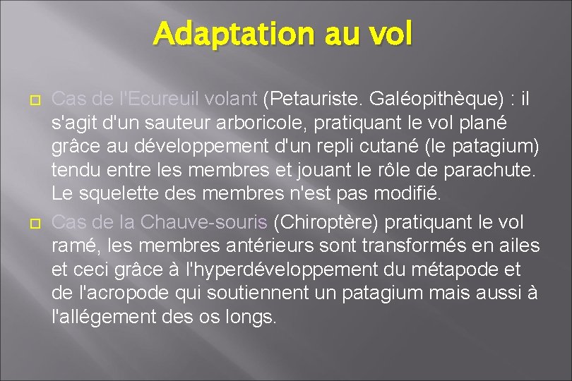 Adaptation au vol Cas de l'Ecureuil volant (Petauriste. Galéopithèque) : il s'agit d'un sauteur Adaptation au vol Cas de l'Ecureuil volant (Petauriste. Galéopithèque) : il s'agit d'un sauteur