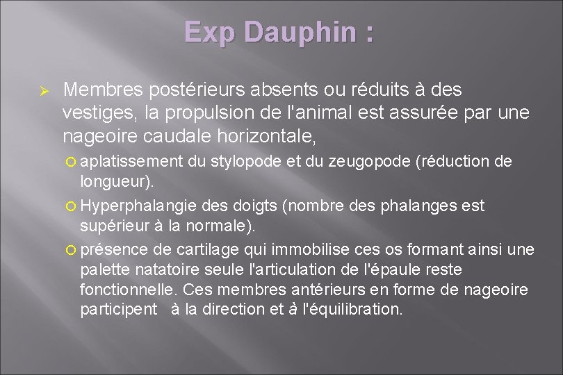 Exp Dauphin : Ø Membres postérieurs absents ou réduits à des vestiges, la propulsion Exp Dauphin : Ø Membres postérieurs absents ou réduits à des vestiges, la propulsion