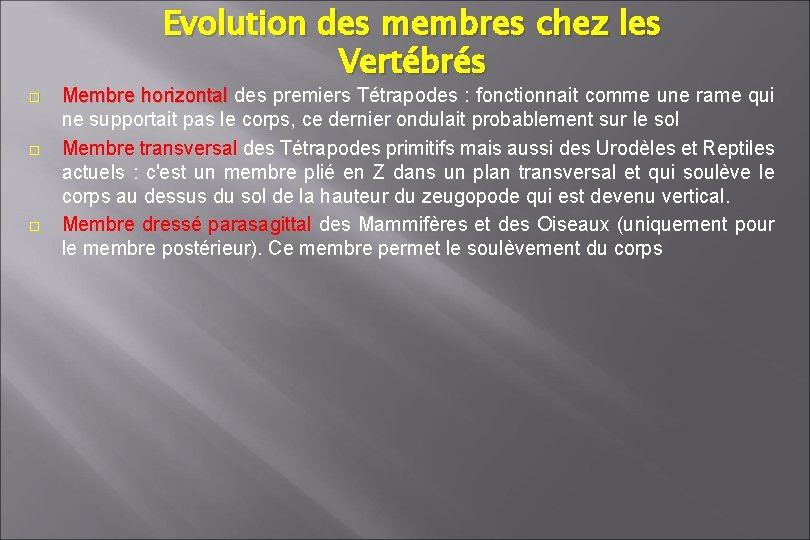 Evolution des membres chez les Vertébrés Membre horizontal des premiers Tétrapodes : fonctionnait comme Evolution des membres chez les Vertébrés Membre horizontal des premiers Tétrapodes : fonctionnait comme