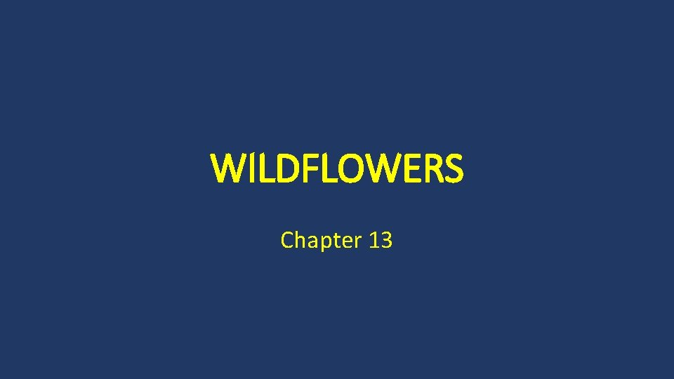 WILDFLOWERS Chapter 13 
