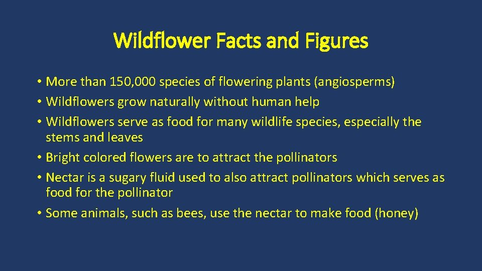 Wildflower Facts and Figures • More than 150, 000 species of flowering plants (angiosperms)