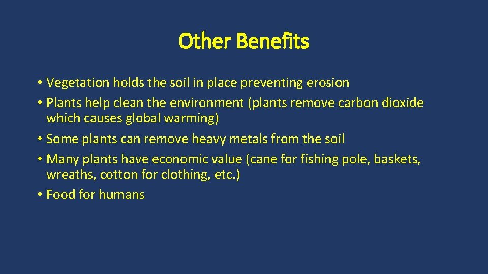 Other Benefits • Vegetation holds the soil in place preventing erosion • Plants help