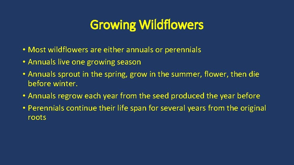 Growing Wildflowers • Most wildflowers are either annuals or perennials • Annuals live one