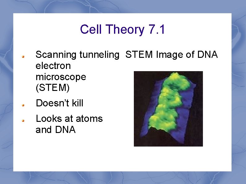 Cell Theory 7. 1 Scanning tunneling STEM Image of DNA electron microscope (STEM) Doesn’t