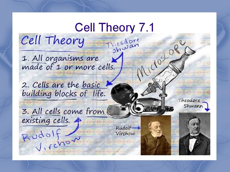 Cell Theory 7. 1 