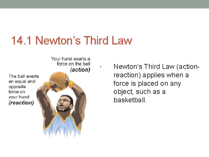 14. 1 Newton’s Third Law • Newton’s Third Law (actionreaction) applies when a force